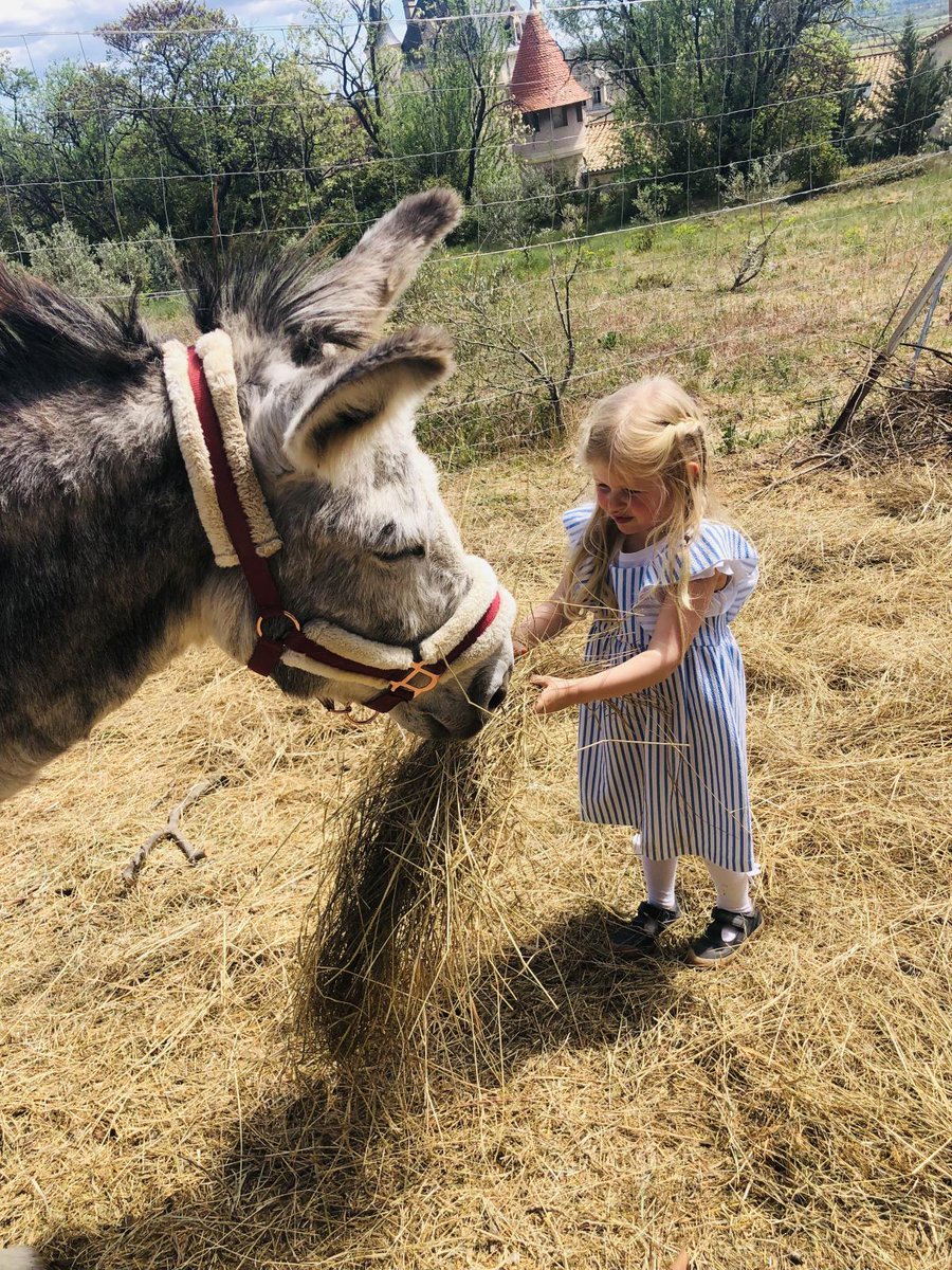 Chateau Les Carrasses, have just opened a mini-farm with goats, chickens, ducks, sheep, pigs, rabbits, a donkey and a pony

This summer the kids club activities will involve the kids helping their resident farm Mario 3 times a week to feed the animals.

bit.ly/HTChateauLesCa…