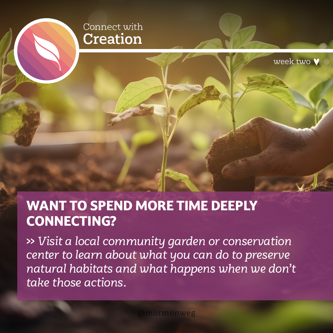 mormonweg's tweet photo. Week 2 of #SimplyConnect : Connecting with Creation 🌳
Discover how connecting with creation intertwines with other aspects of your life, like family, community, or spirituality. It's amazing how nature can nurture our souls and strengthen our bonds. 🌎❤️
https://t.co/r2Q2c7hLer https://t.co/zbe15gGMaf