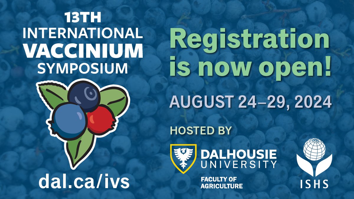 2024IVS's tweet image. Registration is now open for the 13th International Vaccinium Symposium: bit.ly/IVS2024  #vaccinium2024