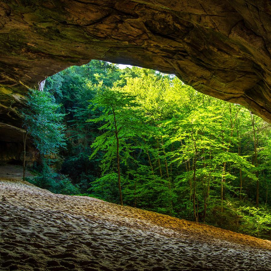 AAA East Central tweet media