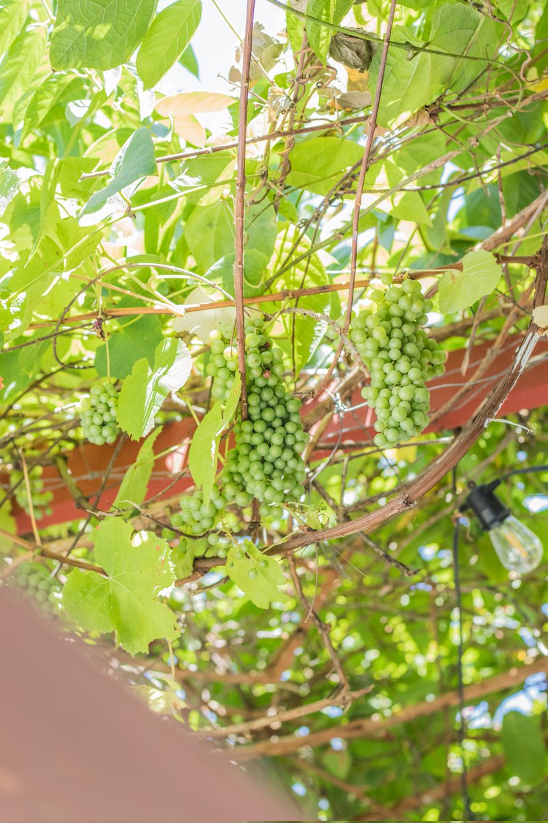 casasantosreyes's tweet photo. La belleza natural de nuestro #hotelBoutique, su arquitectura colonial y sus encantadores espacios te harán sentir en tranquilidad.
Te esperamos!
#Valledupar #hotelboutiquevalledupar #hotelenvalledupar #hotelcolonial #pequeñoshotelesconencanto #CSR #CasaDeLosSantosReyes #hotel https://t.co/sCRXn16Jqw