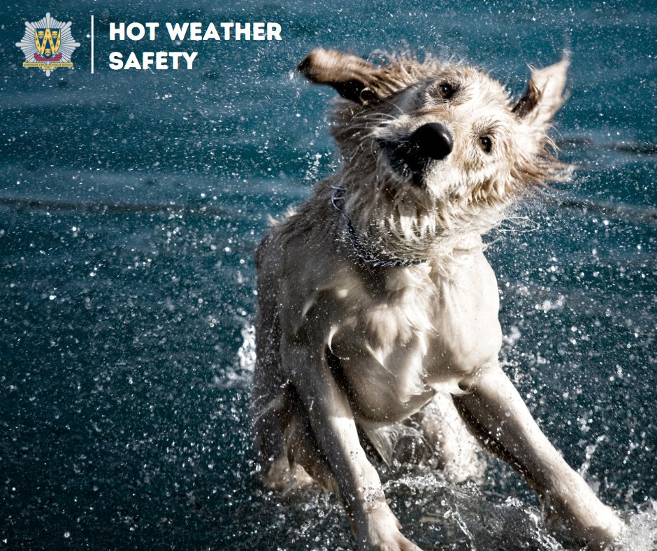 It's tempting to take a dip during the warm weather, but water can contain many dangers, some of which include:

🔵 It can be very cold
🔵 There may be hidden currents
🔵 It is difficult to estimate depth

For more water safety advice and resources, visit: shropshirefire.gov.uk/water-safety