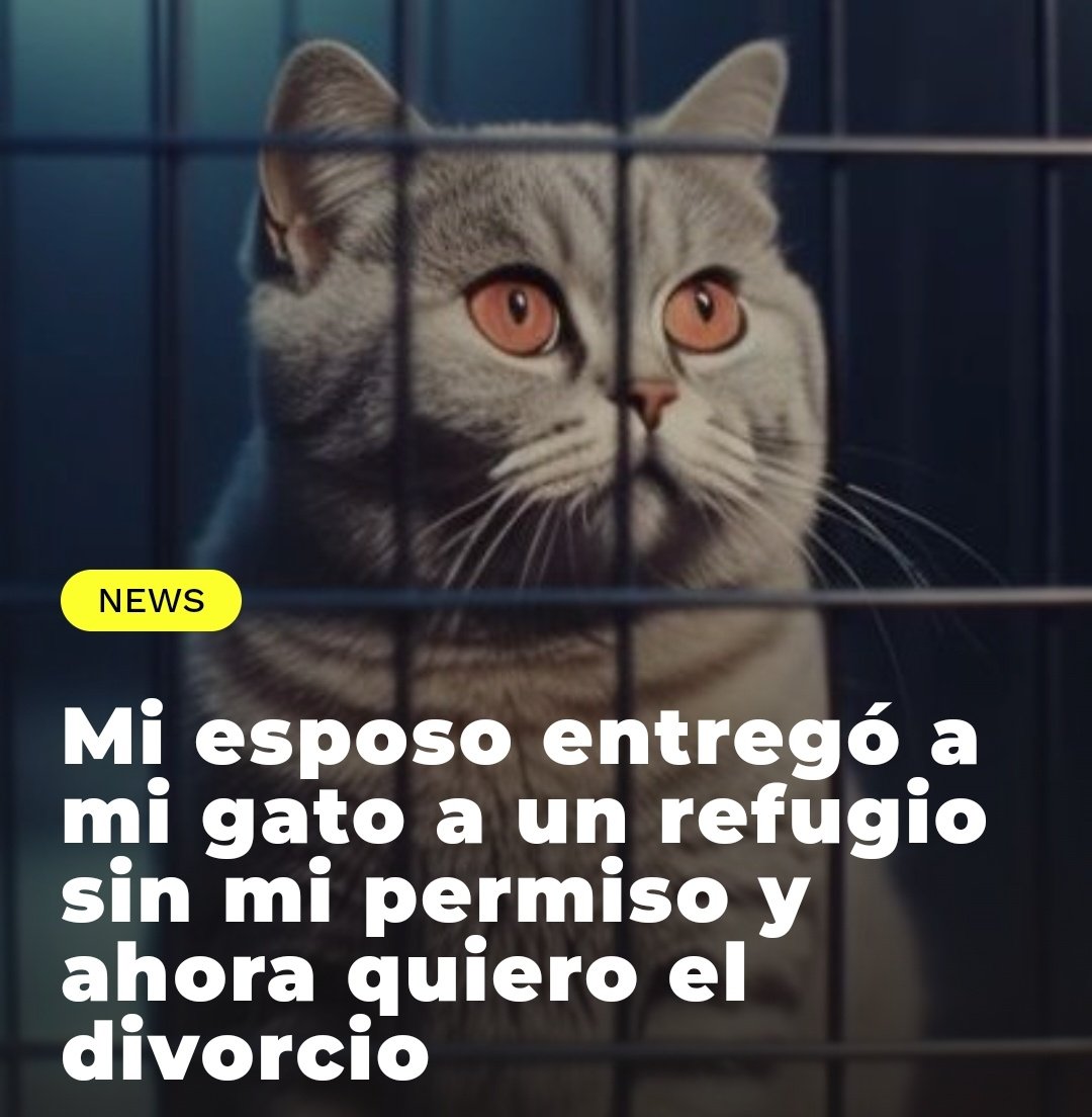 Leon_Rock_'s tweet image. #ClubPoderoso