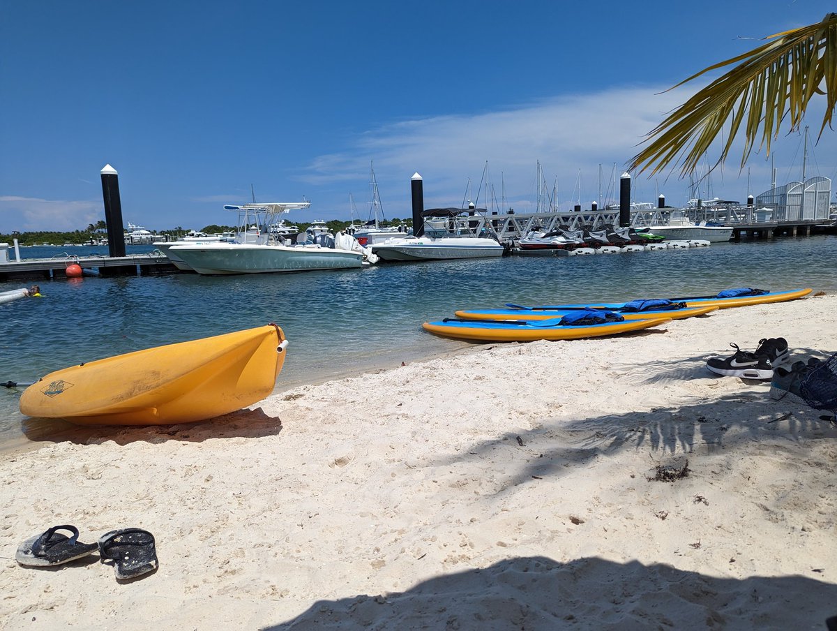 Lisabayeb's tweet image. Another day in paradise
#gooutside