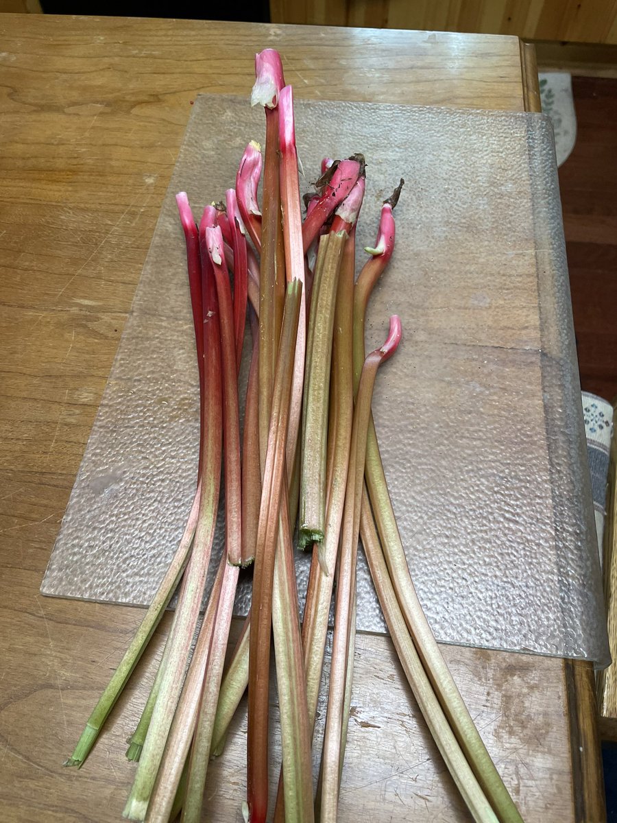 Finally #rhubarb season!
#cabinlife