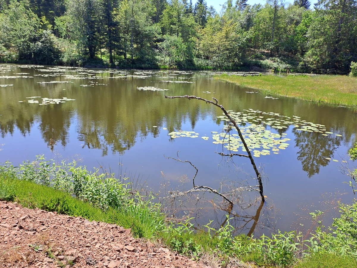 WCWergea's tweet image. Heerlijke 1e dag gehad, zoals gewoon met onze reisjes is het wederom prachtig weer. 1e lekke band was eens een keer niet voor George.