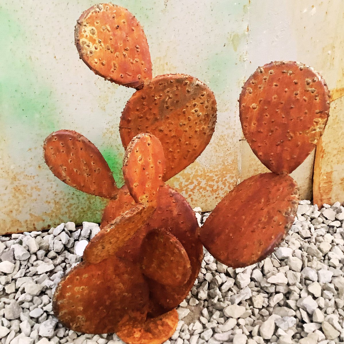 Excited to share the latest addition to my #etsy shop: Rustic prickly pear cactus | metal cacti | Thorny desert | Rustic Patina | Gift for Mom | freeshipping | Prickly Pear | Cactus Metal Art etsy.me/45Swu5z #pricklypear #rarepricklypear #minicactus #pricklypea
