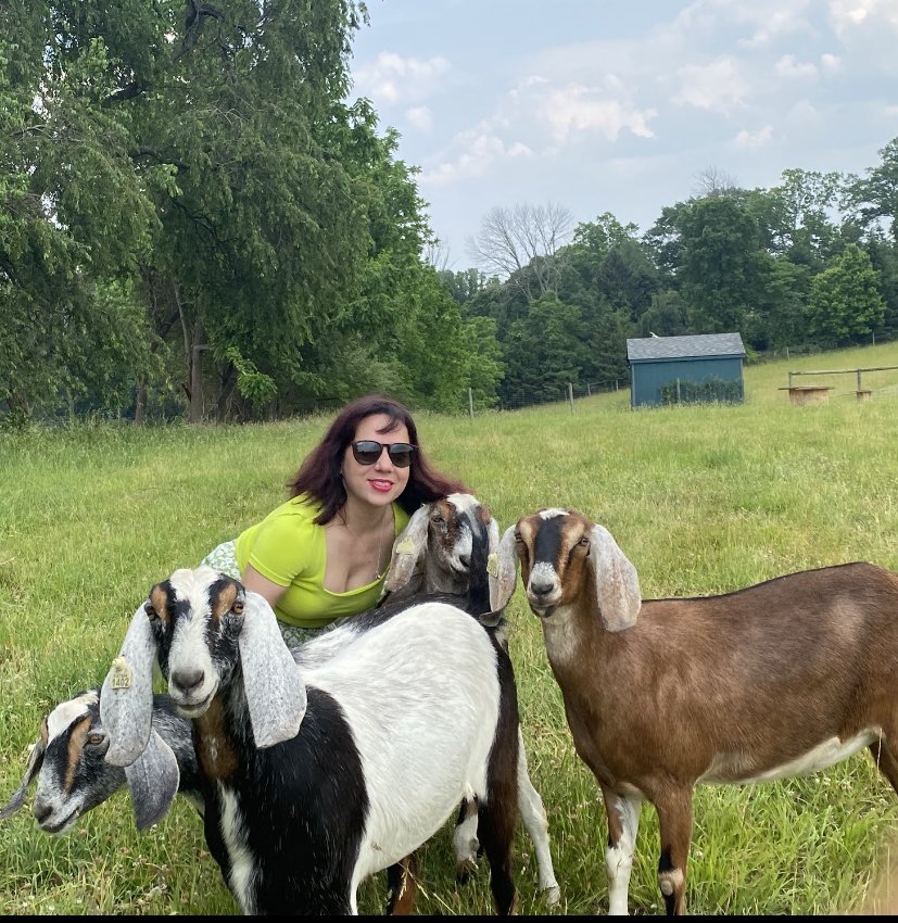 DoingDrugsSucks's tweet photo. Always fun hanging out with these cute goats. It was fun farm weekend strawberry picking, baking yummy treats with them and spending time with our furry friends and even found time to chill and meditate poolside 
~
~
#sober #sobermovement #doingdrugssucks #sayno #nodrugs #GOAT https://t.co/ufHxYN3Nel