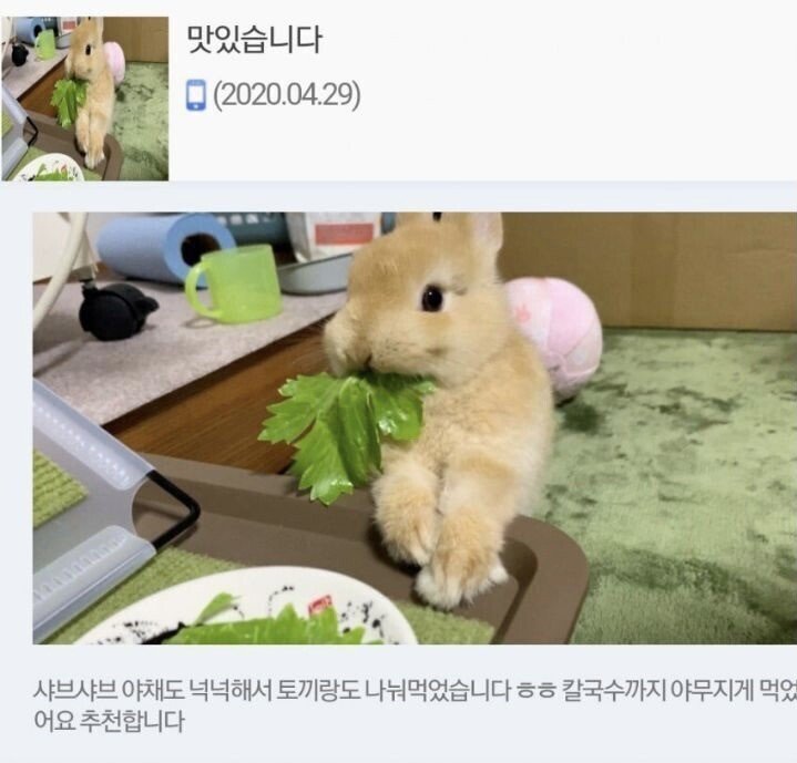 malrang_s_'s tweet photo. 만족도 최상인 샤브샤브 배달 리뷰 https://t.co/f9zJ29oTbE