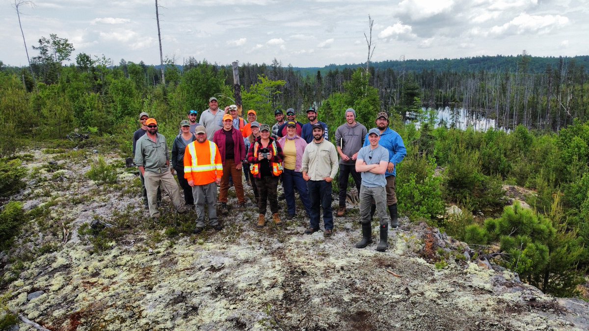 sudburyforest's tweet photo. GLSL Silviculture Tour 2023 in Nipissing Forest 🌱🐢 https://t.co/tjdj3OyUBv
