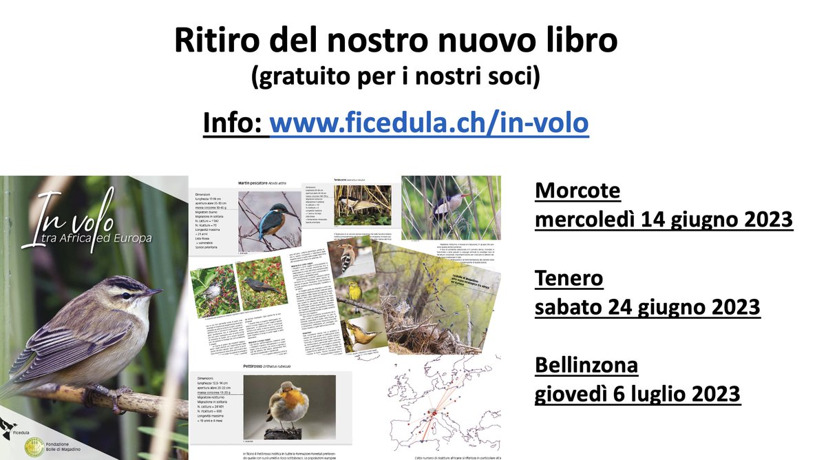 Nuove date per distribuire il nostro nuovo libro ai nostri soci. Ci troverete a Morcote, Tenero e Bellinzona. 
Passaparola grazie! 
Tutte le info qui: ficedula.ch/in-volo