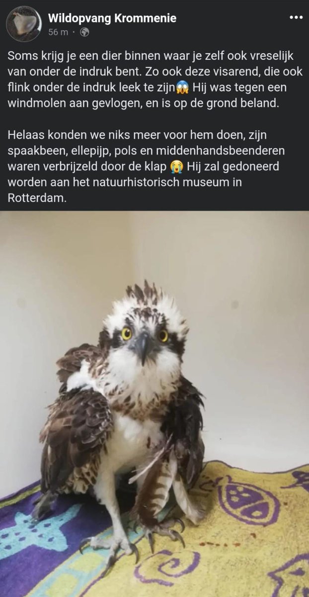 Martijn Korthorst tweet media