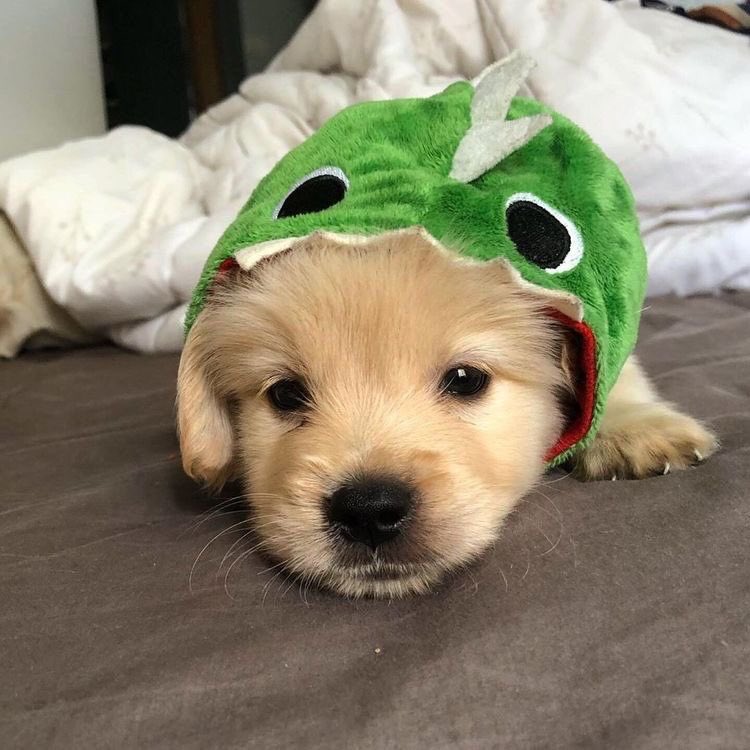 twaniimals's tweet photo. https://t.co/c6ZEQva8kZ