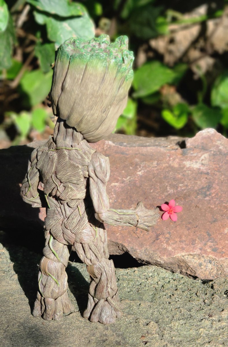 MyBabyGroot's tweet photo. I am Groot.

#Beautiful

#groot #babygroot #iamgroot  #wearegroot #twig #guardians #guardiansofthegalaxy #guardiansofthegalaxyvol2 #avengersinfinitywar #gotg #gotg2 #marvel #disney #stickpic #instagroot #wearegroot🌱 https://t.co/T6eh66bF7J