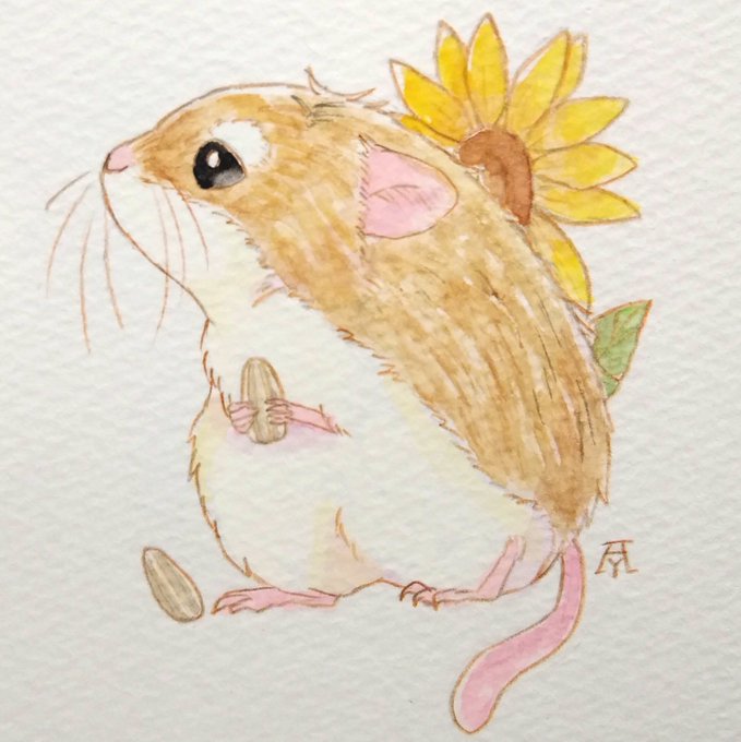 「hamster mouse」 illustration images(Latest)