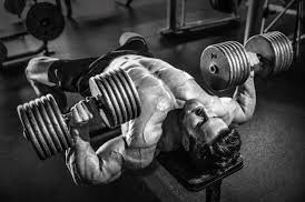 Russell_Writer's tweet photo. Can’t develop those pecs if u ain’t pushing heavy dumbbells…💪😉
Stay focused & motivated my friends
#fitness #bodybuilding #workingout #inclinebench #pushdowns #dips
#liftingheavyshit #muscle #gymrat #training #nutrition #cutting #MondayMorning #writerslife https://t.co/a2CSLnu1nV