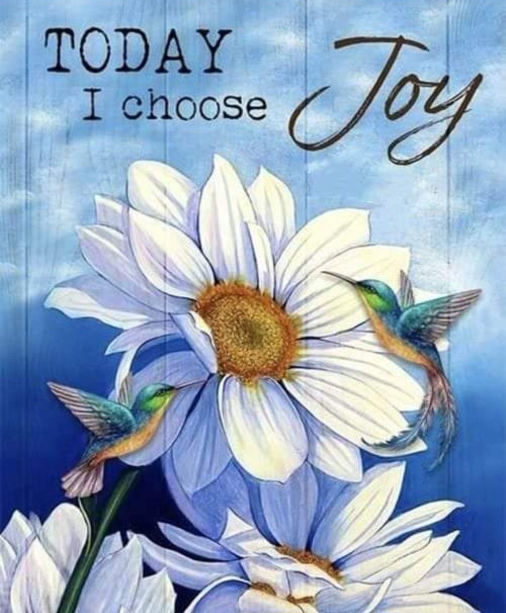 Letters4theLord's tweet image. 