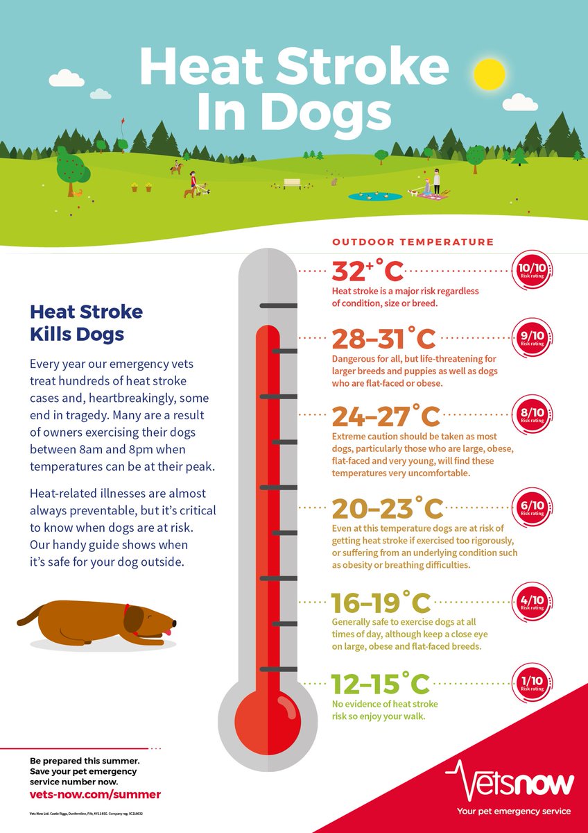 HollyThornback's tweet photo. Anyone in the UK, who takes their dog out in heat like this, is a cunt. Pass it on. ✌🏼 https://t.co/xQKwHCeq6s