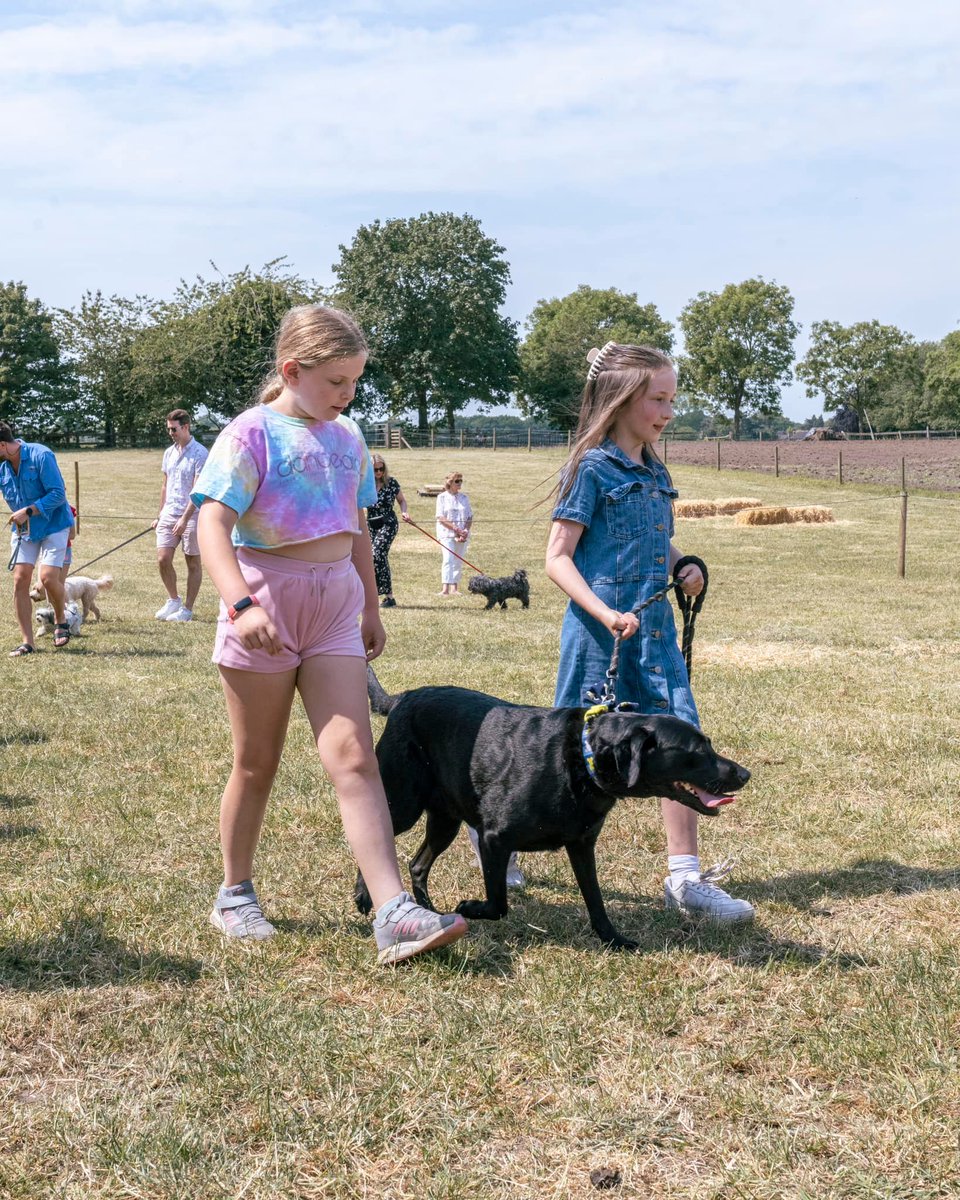 LambingShed's tweet photo. Thank you to everyone who came yesterday!🐶🐾

We had so much fun and hope you did too. We raised a fantastic £183.85 for the wonderful @manchdogs 😊

#dogshow #farmshop #cheshire #knutsford #dog https://t.co/Ge8YTQSvqu