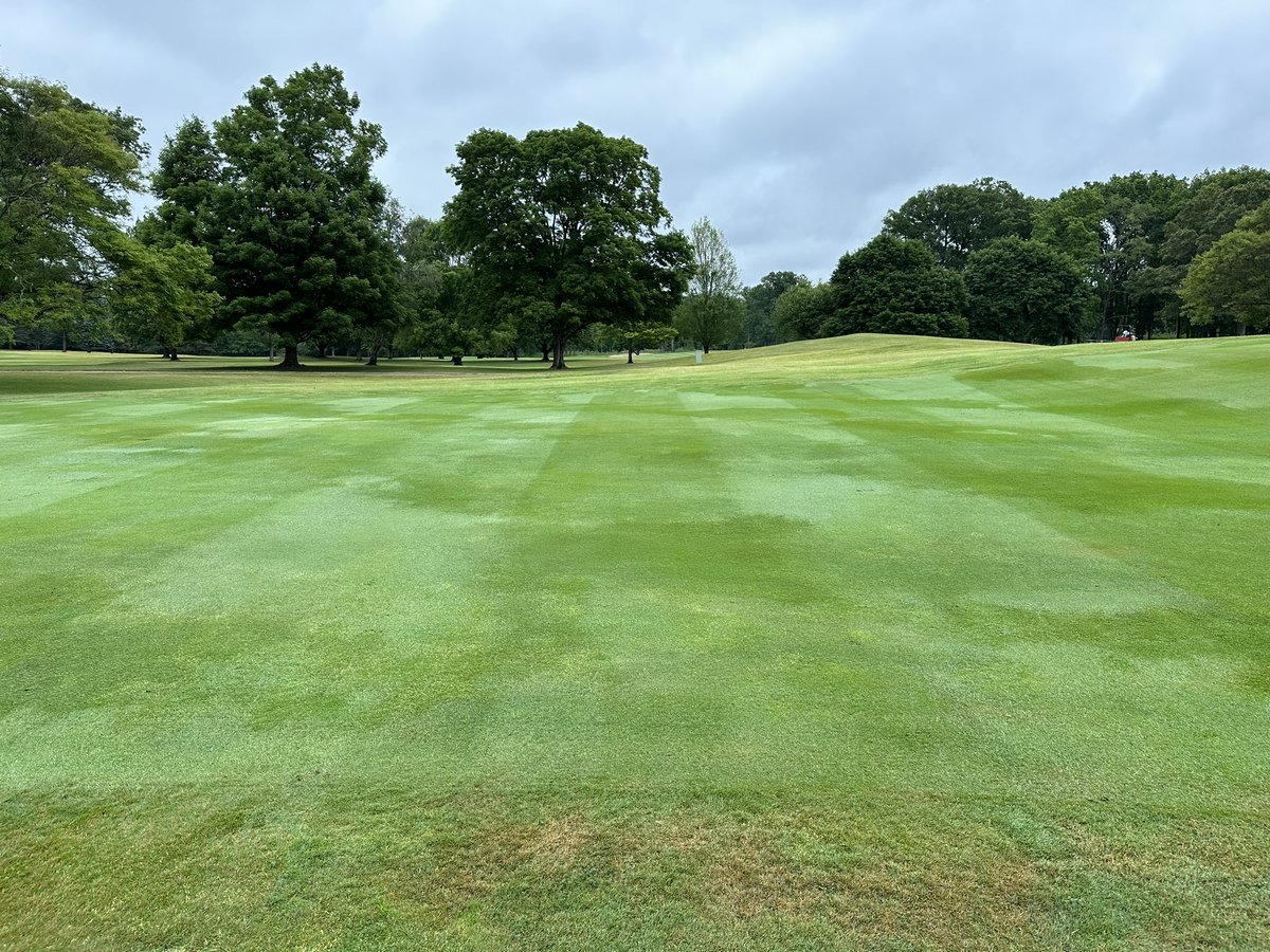 #viewoftheday #ccj 

Monday 3-9 cut on fairways.