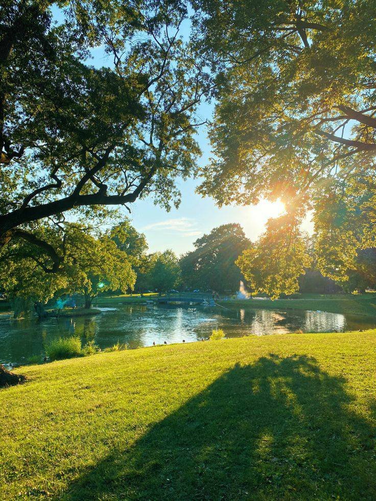 artindetails's tweet image. peace and quiet.