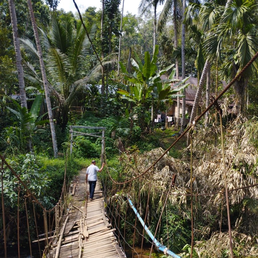 This bridge leads to Balai Adat (house of head Dayak communities), a village on a slope Meratus mountain. Dayak people here live happily by tapping rubber, vegetables and fruit. <a href="/PalmOilDetect/">Palm Oil Detectives #BoycottPalmOil</a> <a href="/DrBirute/">Biruté Mary Galdikas</a>