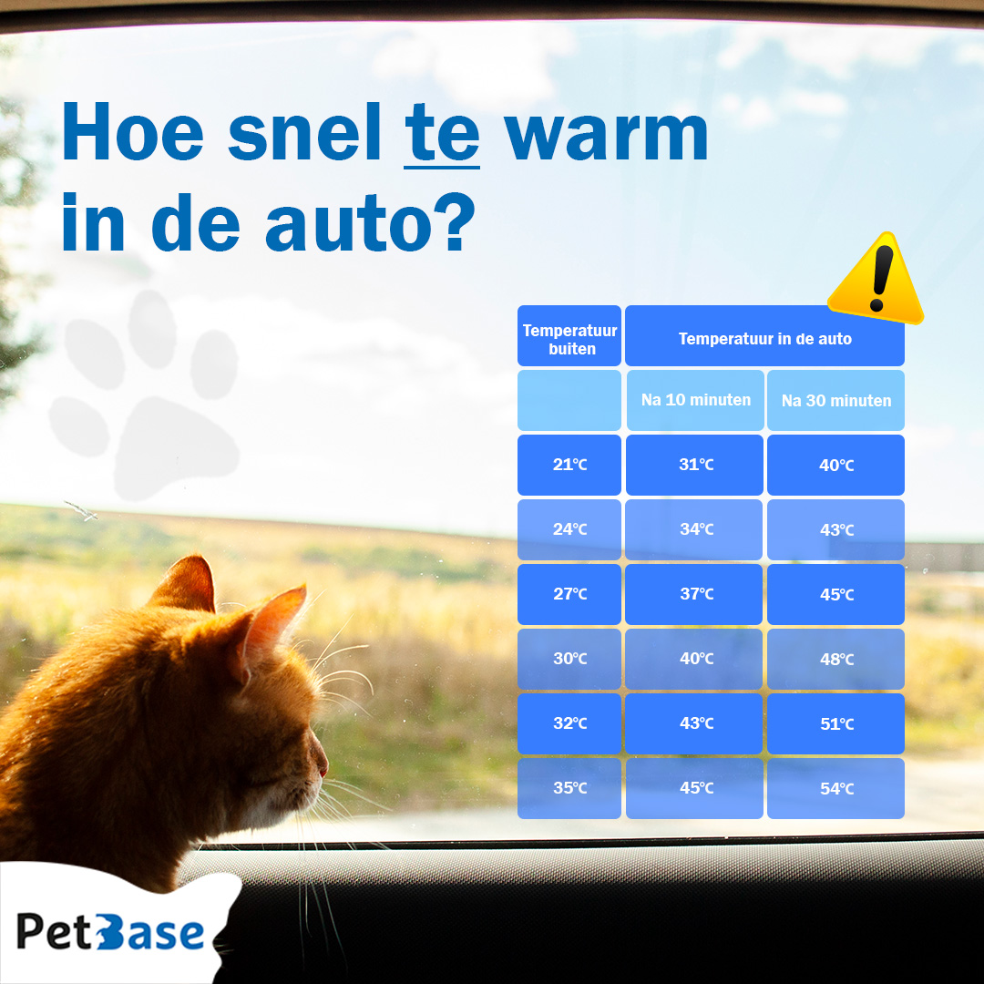 PetBase's tweet image. Is het al zo warm?! 

Let goed op je huisdieren tijdens deze warme maanden van het jaar!