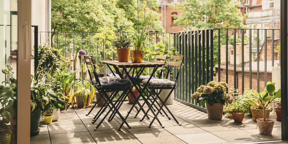 ARTICLE: 50 Charming Small Garden Ideas That Won't Break Your Budget 

goodhousekeeping.com/home/gardening…