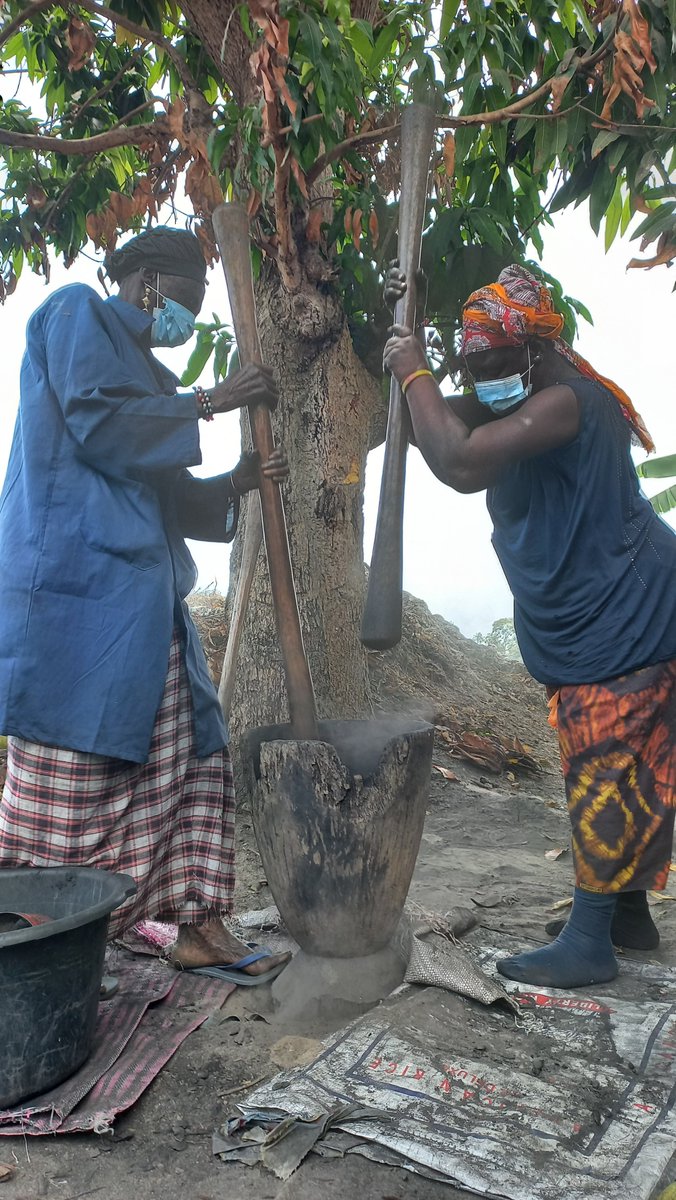 Rebecca4Earth's tweet photo. @WasteAid supports #sustainable #wastemanagement in The Gambia through a collaborative #CircularEconomy Network funded by the @CIWM.  The Bakau Women's Gardens manufacture eco-friendly alternatives to charcoal from coconuts,  preserving Gambian forests and diversifying incomes. https://t.co/pOcNvzGUvd