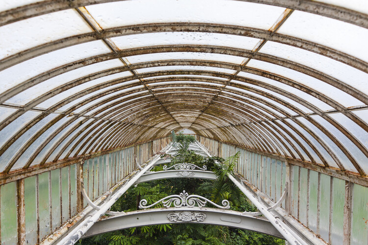 StandardPatent's tweet photo. Thanks to Matthew Maganga for this social and architectural history of greenhouses. Much is made of the engineering improvements that made these temples of light and heat possible, patent glazing being just one of those!  https://t.co/PjVT5yQlg9 https://t.co/JnZDaoY7ab