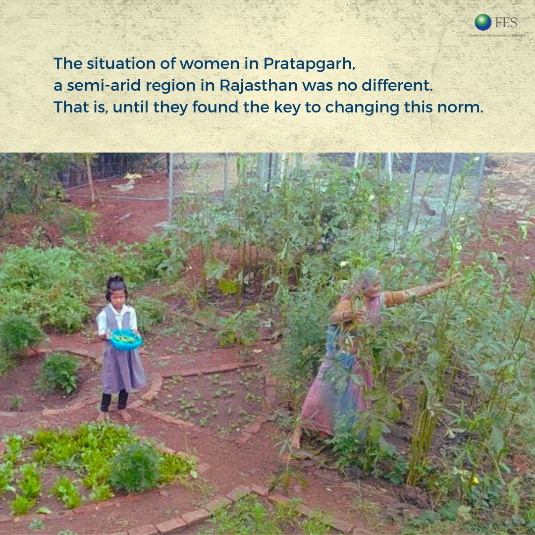 fesforcommons's tweet photo. In Araniya Village of Pratapgarh, Rajasthan, women are leading the way to their communities' nutritional security while also reducing household expenditure by raising vegetable gardens in their backyard #OrganicFarming #TogetherWeCan #AxisBankFoundation https://t.co/R0HaWS1jeq