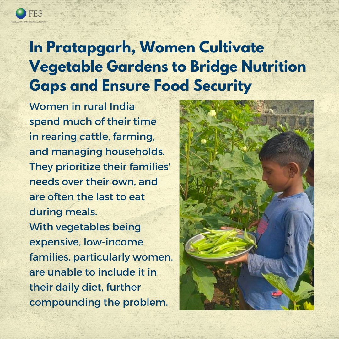 fesforcommons's tweet photo. In Araniya Village of Pratapgarh, Rajasthan, women are leading the way to their communities' nutritional security while also reducing household expenditure by raising vegetable gardens in their backyard #OrganicFarming #TogetherWeCan #AxisBankFoundation https://t.co/R0HaWS1jeq