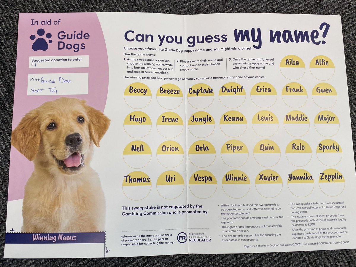 stoneman_trudy's tweet image. Our fundraising for @guidedogs is underway at #NormantonLibrary all in conjunction with @ReadingSight  #HiVis2023