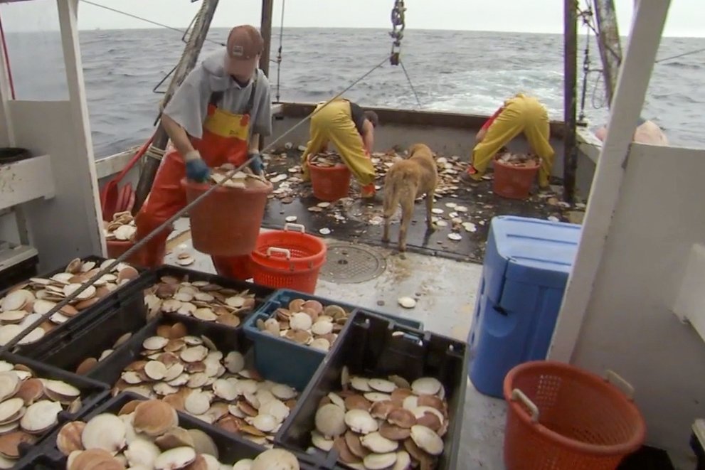 NOAAFish_NEFSC's tweet photo. Social scientists to visit #LongIsland #NY &amp; #NewBedford #MA ports this week to conduct a crew survey assessing social &amp; economic well-being of commercial fishing vessel crews &amp; hired captains. Voluntary, anonymous, takes 10mins. Info: https://t.co/j18tH6DHBk. https://t.co/dL02HUTsUj