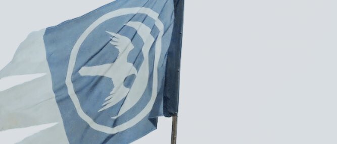 ౨ৎ⋆.˚ tweet media