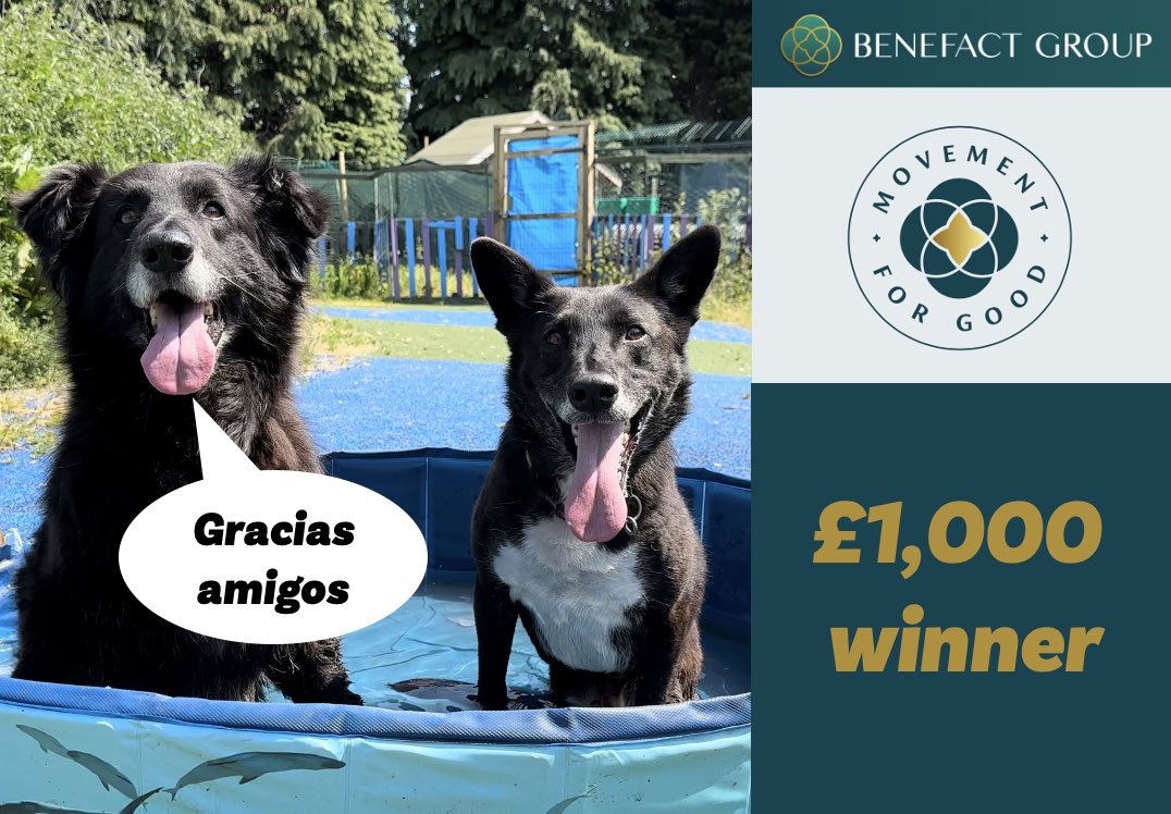 We’re one of today’s £1,000 grant winners from @benefactgroup and their #movementforgood program 🥳🥳 It will be put towards the interior build of the dogs’ log cabin at the new site. Bran says gracias for voting amigos!! It just goes to show what your voting powers can do!!