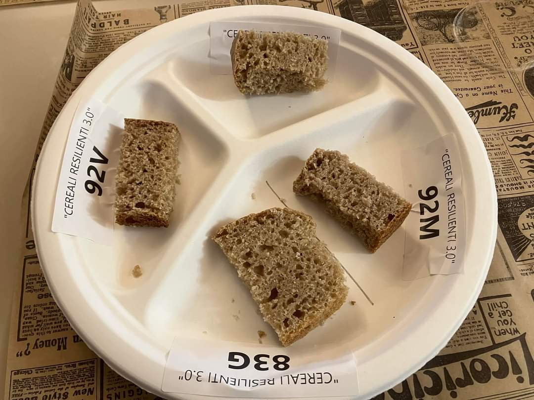 FiBL Plant Breeding tweet media