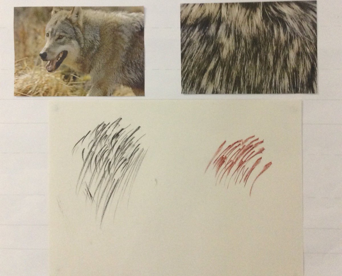 Foxfield Maple Class tweet media