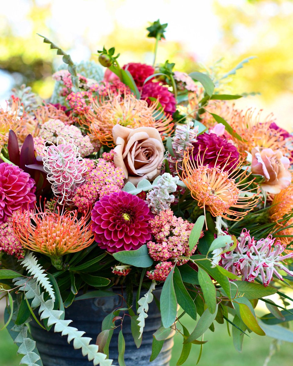 To finish the moment, to find the journey's end in every step of the road, to live the greatest number of good hours, is wisdom. - Ralph Waldo Emerson 🍃💥😊🌷🌿 #mondaymotivation #liveyourpassion #wisdom #inspiredbynature #allthingsbotanical #protea #cagrown