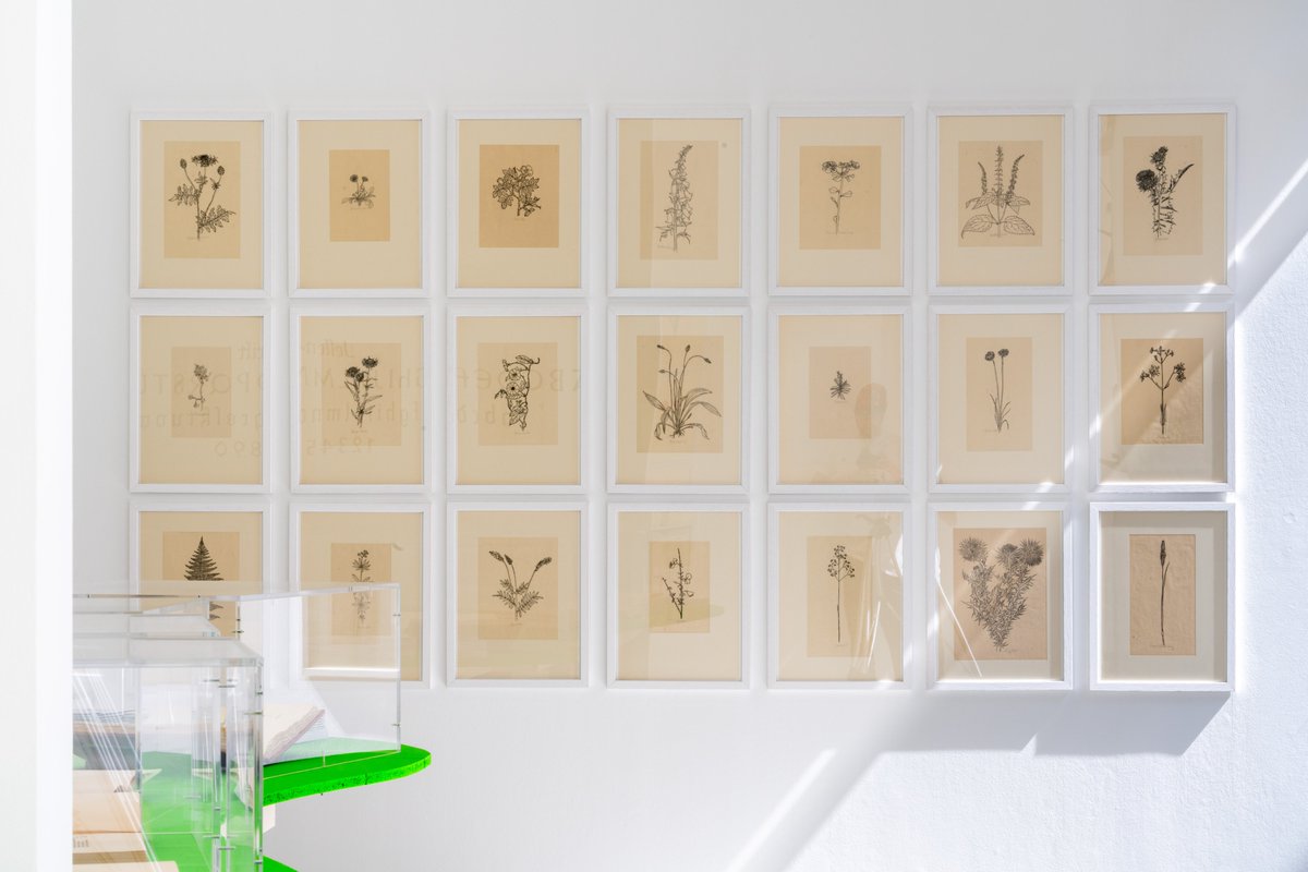 Last week to see the Blumenbuch exhibition!  

📌 Open Thursday, Friday, Saturday 2-6 pm  

Das Blumenbuch [The book of flowers]  
Rudolf Koch &amp; Fritz Kredel   
4 May – 17 June 2023  
Modulab, Metz (F)   
modulab.fr 

Photos Benjamin Roi