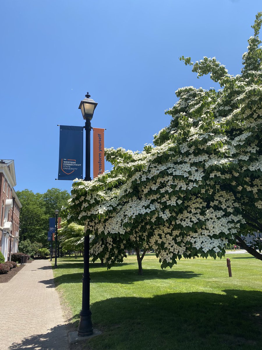 WCSU Admissions tweet media