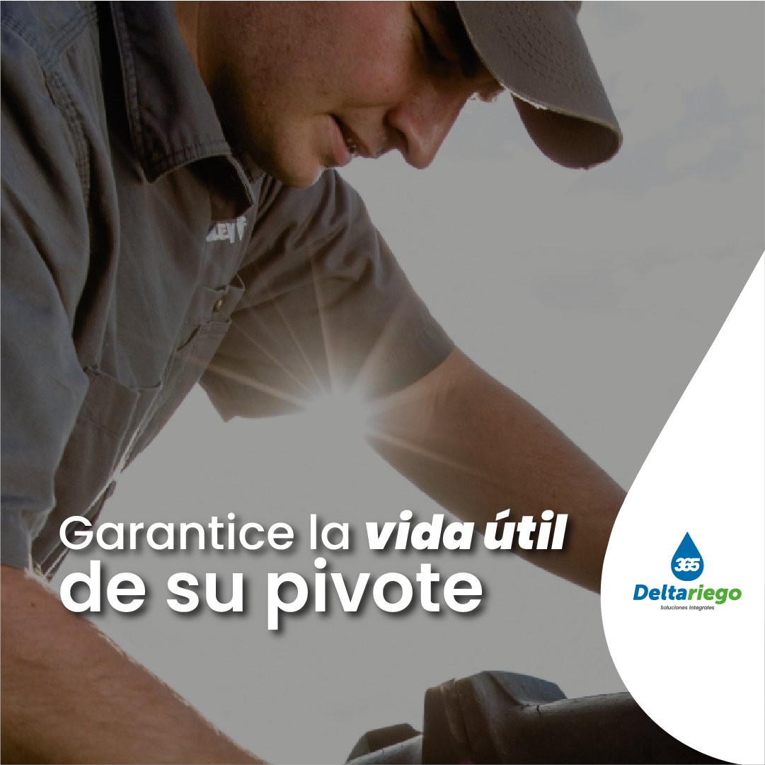 deltariego's tweet photo. ¡DELTARIEGO 365 🗓️!

Incorporamos un paquete de nuevos servicios 🆕

Una nueva área en la que le ofrecemos facilidades para tener su sistema de riego actualizado, garantizando el mejor rendimiento.

Conozca más en: https://t.co/1gP9rRo62o

#Riego #Uruguay #Deltariego365 https://t.co/1EJjelZQ5W