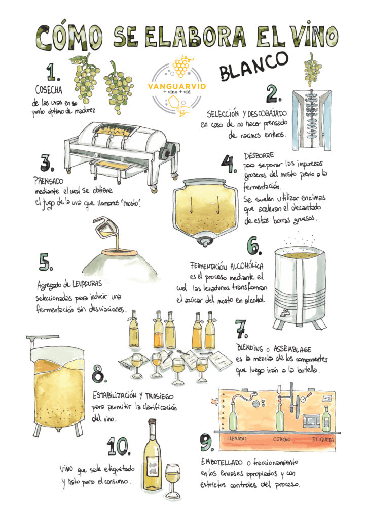 Cómo se elabora el vino blanco