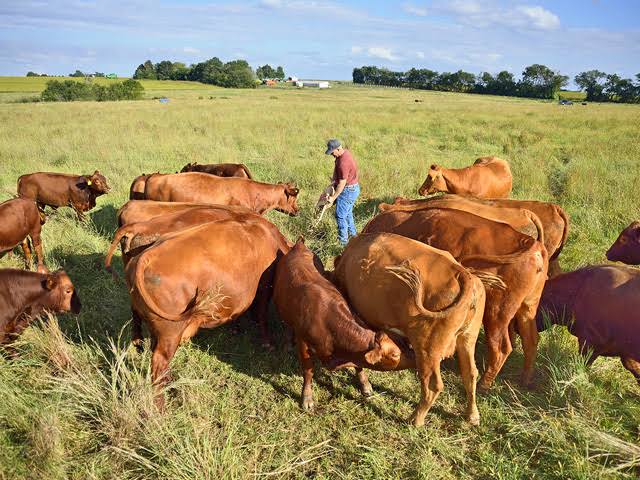 AfricanGrowers's tweet photo. Are you proud to be called a farmer?

⬇️ https://t.co/8ZUJrecl7k