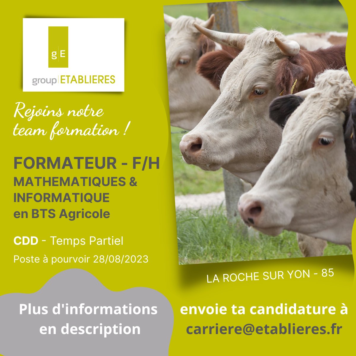 [OFFRE D'EMPLOI]🐐Formateur en mathématiques-Informatique (F-H) en CDD
👉Le groupe Établières recherche un #formateur en mathétmatiques-informatique (F-H) en CDD à #larochesuryon.
👉Lien pour l'annonce : etablieres.fr/le-groupe/trav…
🖋️Devenez Établiens🙂