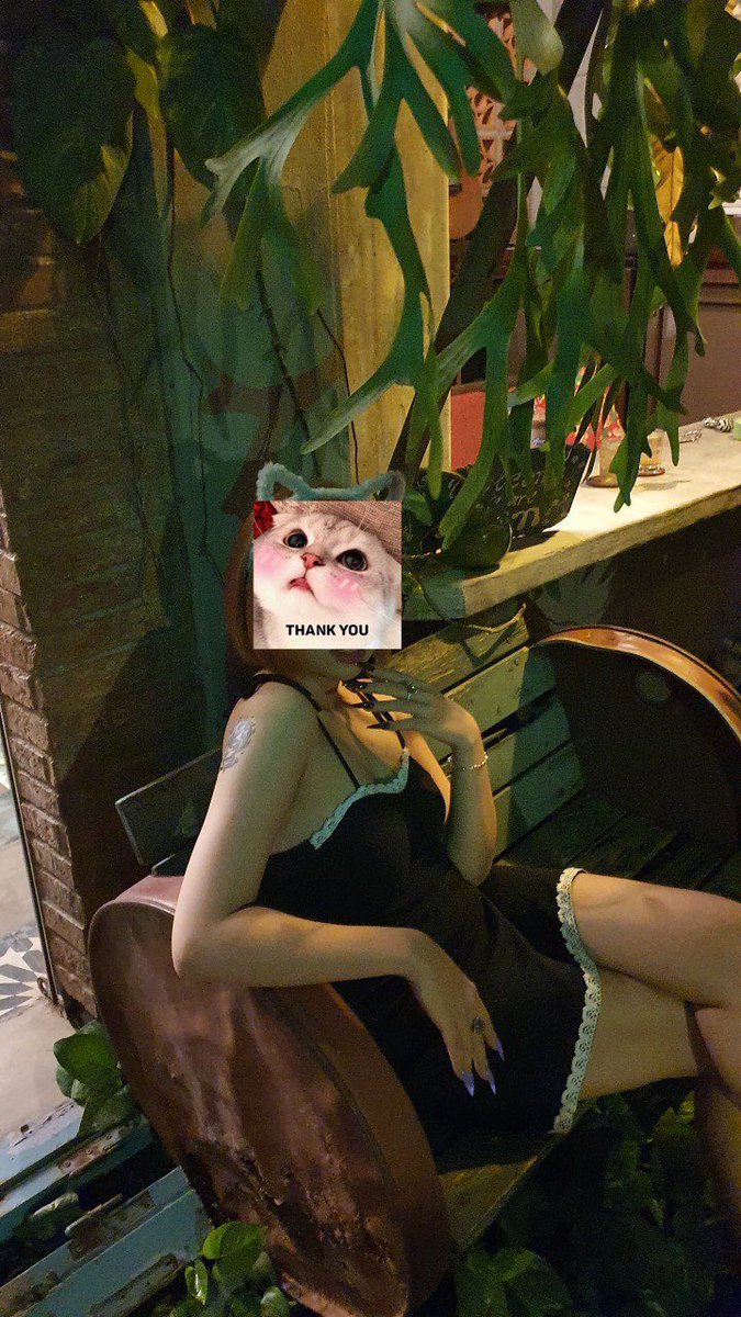 Mexx 🐱 ( Acc chính chủ ) tweet media