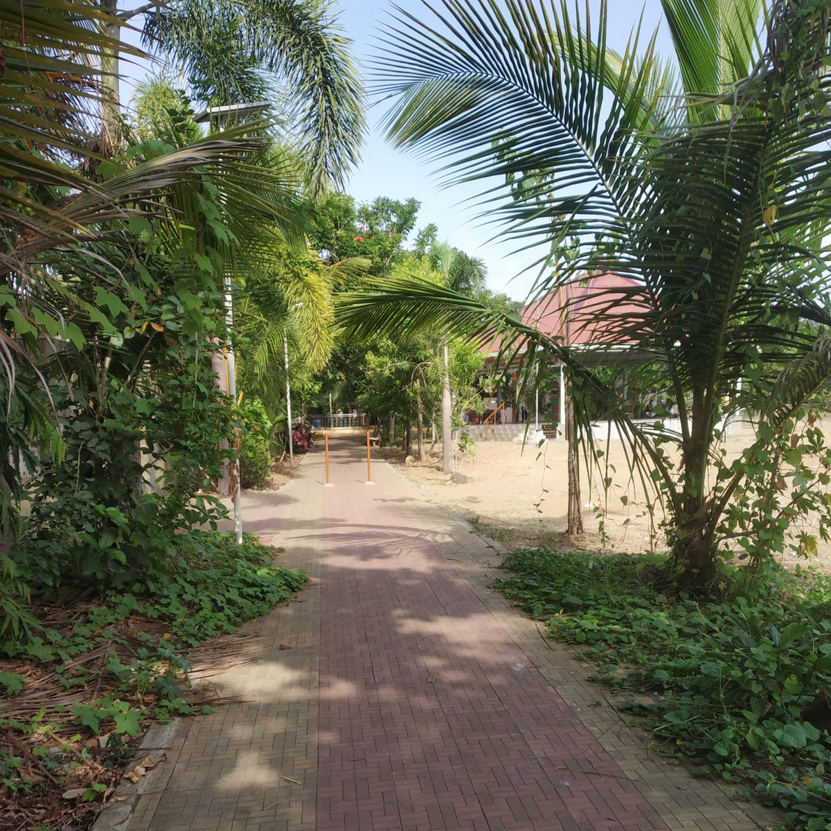 Harsha (@harsha052001) on Twitter photo 