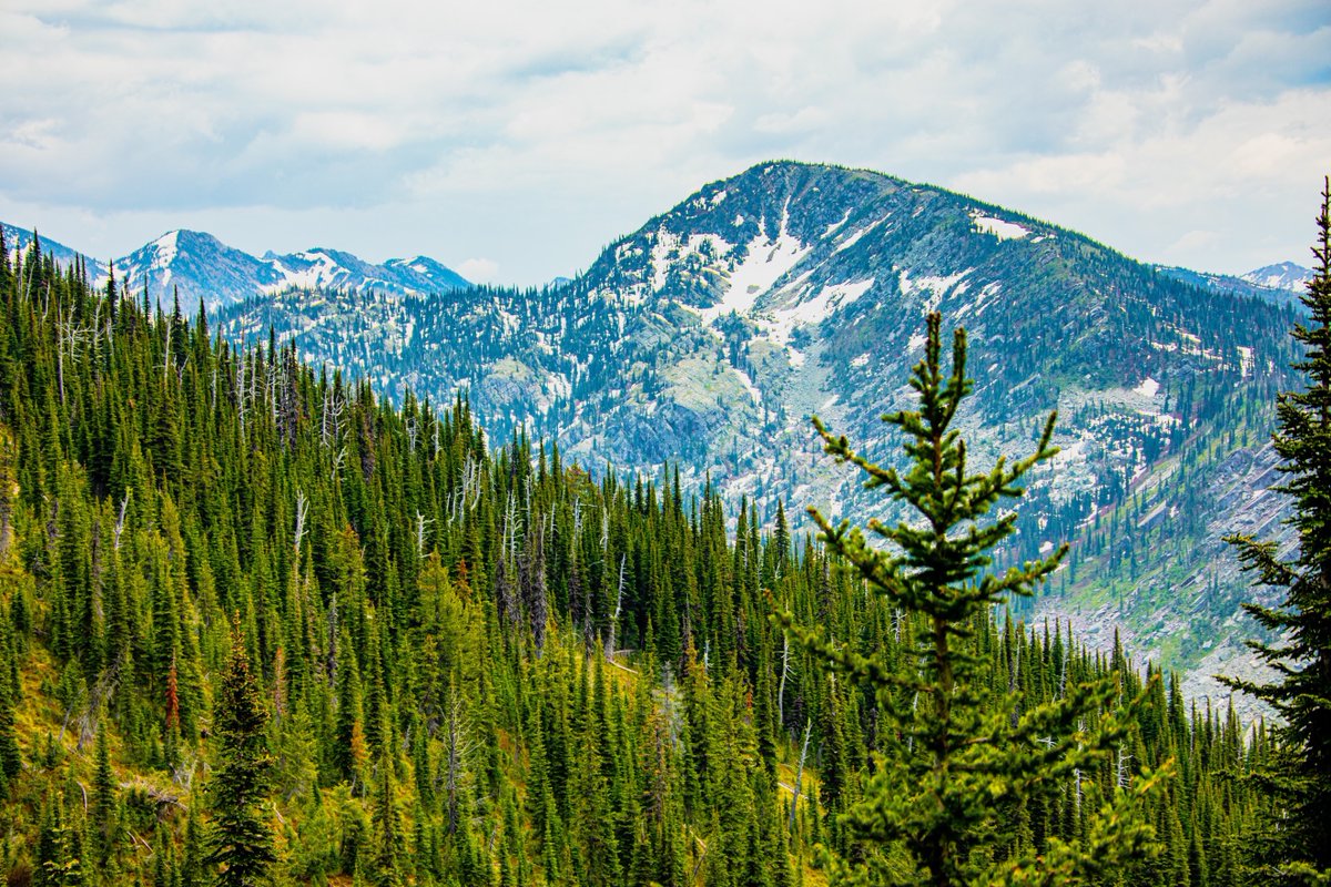 If you’ve got a chance this #GreatOutdoorsMonth, take a hike up trail 717 to Crater Lake for stunning views of the Jewel Basin.