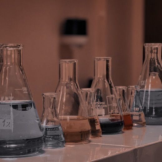 sqxnote's tweet image. lembrete q é assim que vou estar próximo ano: