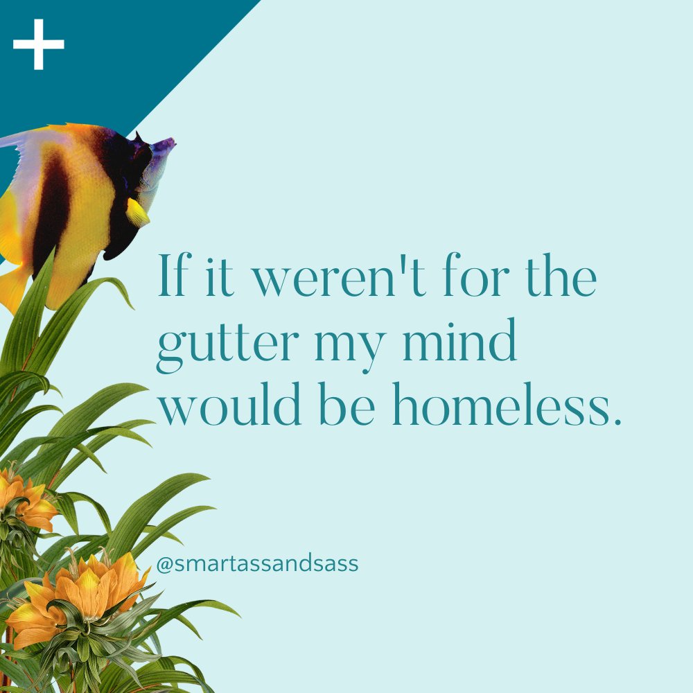 SmartassAndSass's tweet photo. Born and raised in the gutter 🤣
https://t.co/YXIymrJMFH
|
|
|
#subbox #subscribe #humor #womenowned #shopnow #subscription #dailyhumor #sassy #shopsmall #womenownedbusiness #sass #subscriptionbox #funny #quote #cute #monthlybox #headinthegutter https://t.co/XviXxPnia0